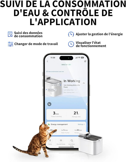 Fontaine à eau pour animaux