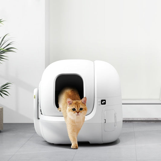 LitiClean de Furtech– La Solution Révolutionnaire pour une Litière Toujours Propre