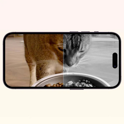 Distributeur automatique à double réservoir avec caméra