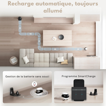Pawbot Robot compagnon pour les animaux